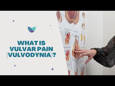 Vulvar Pain Vulvodynia   Causes, Symptoms, and Treatments   Pelvic Rehabilitation Medicine