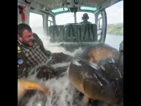Angler throws a massive PVA bag from a helicopter... absolute madness! 🚁🎣💥