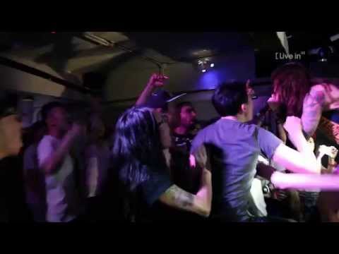 Wolf x Down - Stray From The Path, Reality Slap ( HD Live Video )