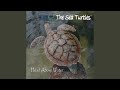 Sea Turtle Blues