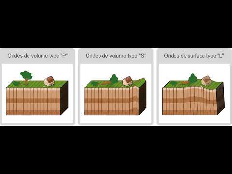 Différents types d'ondes sismiques