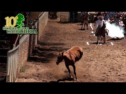 Calculating Time and Space - Piales on the Canvas - 10th Charro Championship of the Sierra 2023, ...