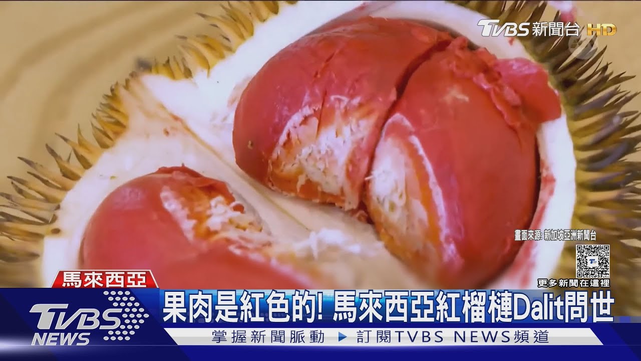 口紅色果肉! 馬來西亞紅榴槤Dalit 帶酒味、有奶油口感