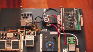 the fish (Schindleria Praematurus) - yes tribute on bass