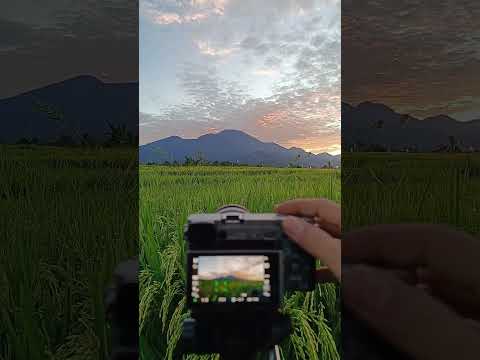 morning with a beautiful burning sky on the horizon #nature #pov #photography #travel #indonesia