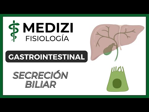 Class 51 Gastrointestinal Physiology - Bile Secretion (IG:@doctor.paiva)