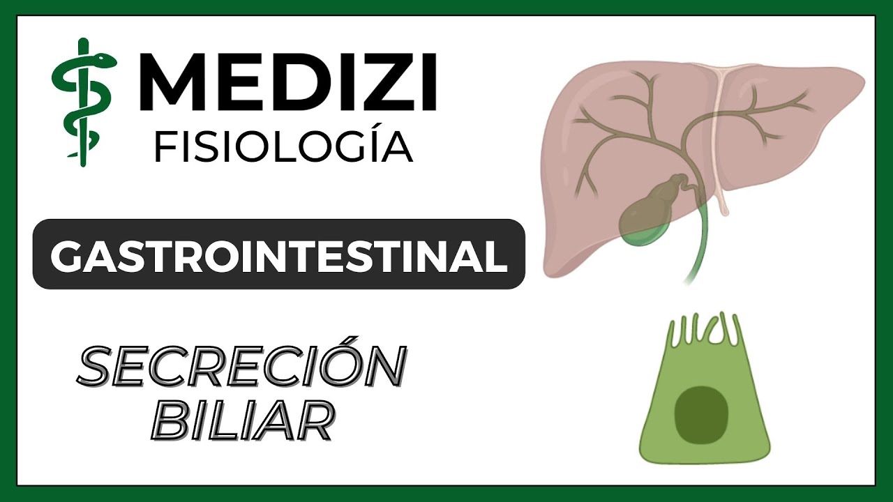 Clase 51 Fisiología Gastrointestinal - Secreción Biliar (IG:@doctor.paiva)