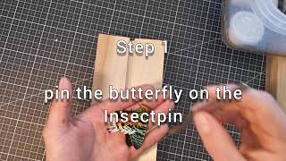 How to pin butterflies Step #2 Schmetterlinge präparieren/spannen  Entomologie/Mounting/Präparation