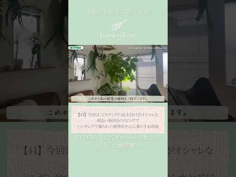 バルコニーの装飾のアイデア: 向きに基づいて植物を選択する  庭園