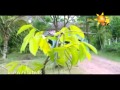 ADISI 01