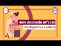 How anorexia affects the digestive system