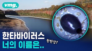 한타바이러스.."지역 혐오" vs "자랑스런 업적" / 머그인사이트 / 비디오머그