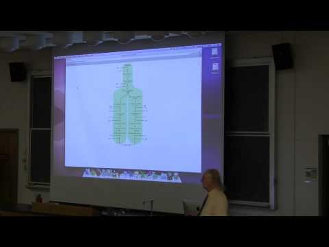 Ahern's BB 350 at OSU - 26. Glycolysis