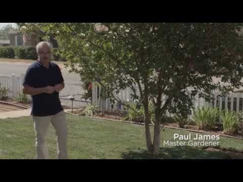 Installing a Subsurface Drip Irrigation System in Turf Grass