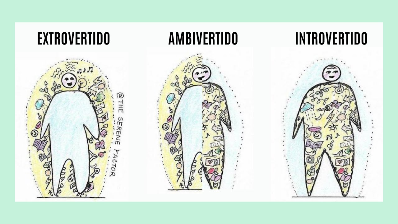 Test de introversión/Extroversión/Ambiversión. Descubre qué tipo de personalidad tienes 🤯