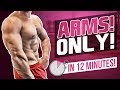 BICEPS & TRICEPS WORKOUT IN 12 MINUTES! (FOLLOW ALONG - MUSCLE BUILD)