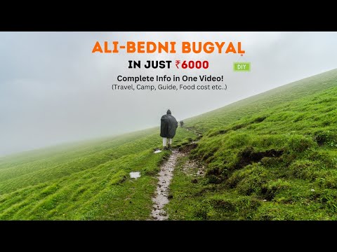 Ali Bedni Bugyal Budget DIY Trek | Complete guide | Uttarakhand | 3 Travelers
