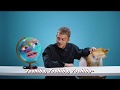 The World S Best Friend Jingle