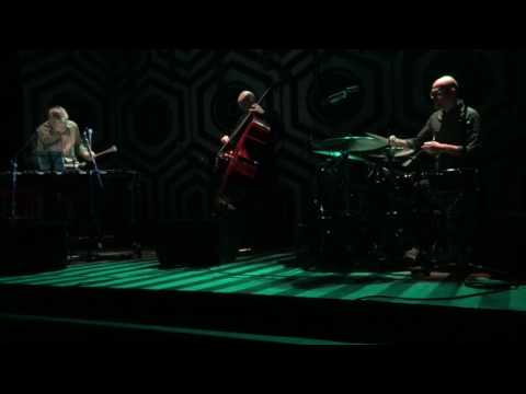 Komeda Ahead-Christopher Dell i bracia Oleś w Zmianie Klimatu