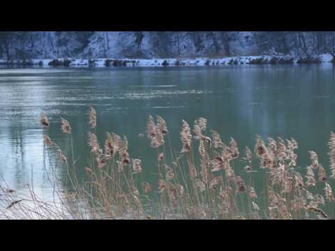 Kathi Stimmer-Salzeder - Amicitia