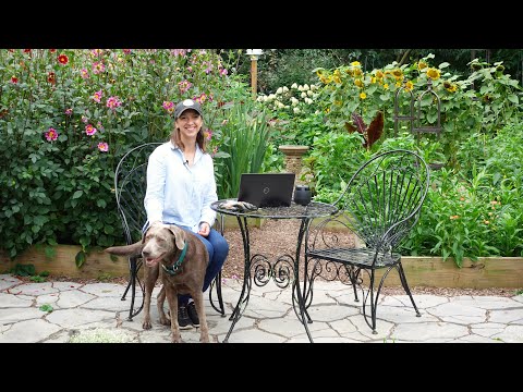 Top 10 Must-Grow Tulips and 3 You Couldn't Pay Me to Grow Again!