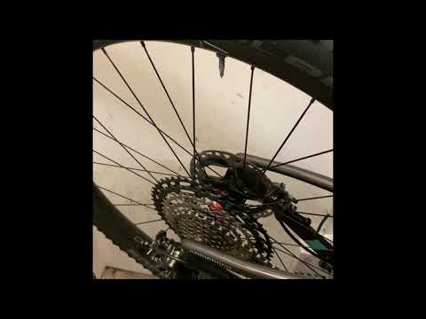 DT Swiss Ratchet EXP Freehub sound: Oil vs grease 36POE