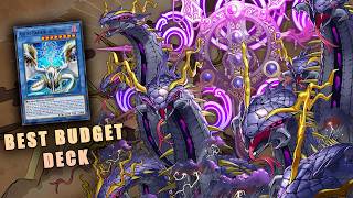 EL MEJOR DECK ECONOMICO para COMPETIR en YUGIOH | Decklist y combos #yugioh #tcg #konami