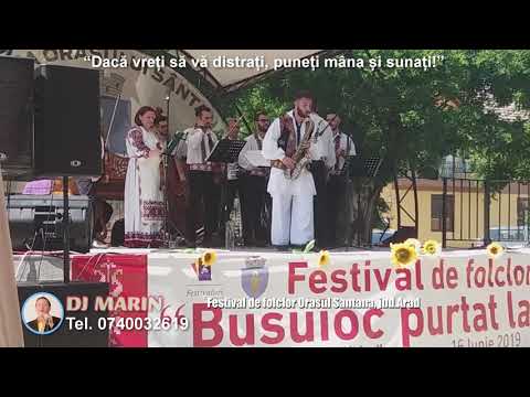 DJ Marin - Sonorizare Festival de Folclor Santana, jud. Arad