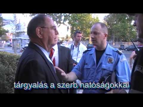 Vojvodina-Bp. Honvéd a mérkőzés előtt