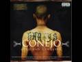 Conejo-One Tone Stone