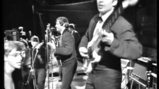 The Hollies - Too Much Monkey Business