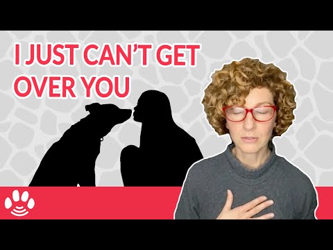 Moving Through Grief: A Technique to Help You Heal from Losing a Pet
