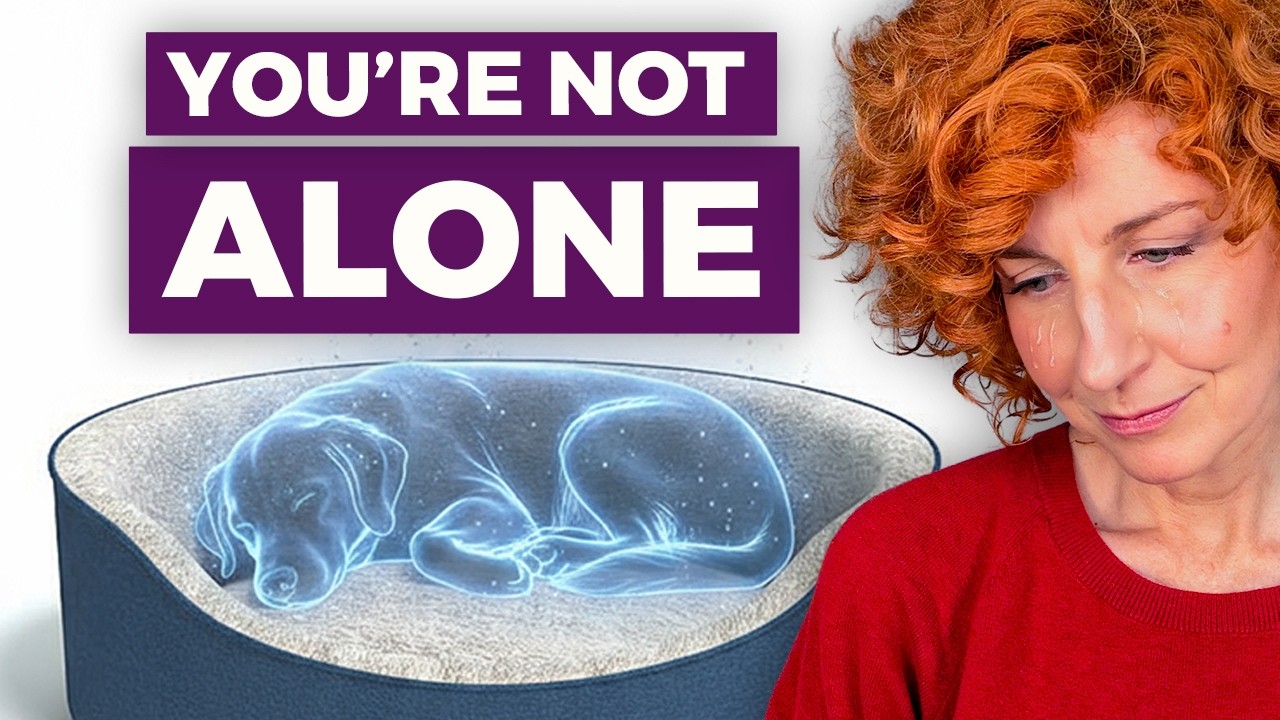 Pets in Heaven | Help with Extreme Grief after Pet Loss | Rainbow Bridge