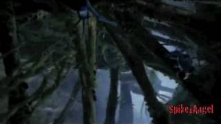 AVATAR Colors of the Wind