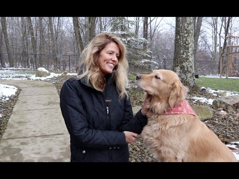 #683 Daughter Eva Update, Wood Splitting, and New Work Table for the REPC