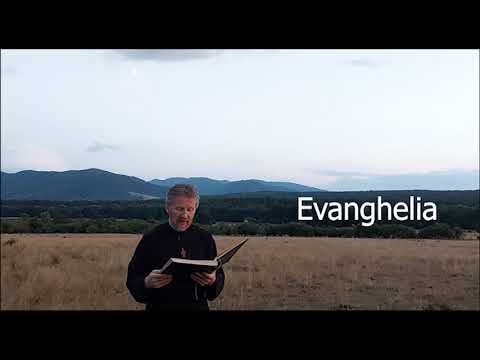 Painea Vietii - Vineri in saptamana 9 dupa Rusalii - slujitor Dani