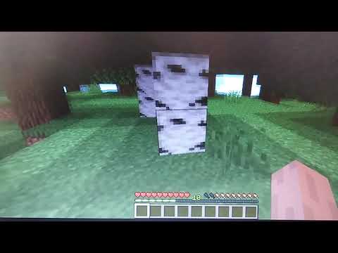 Se prendi danno finisce il video