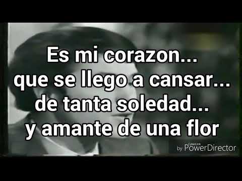 Yo Te Ofrezco - Adamo