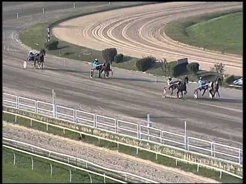 Trotto 23/11/2014 - 1° prova di qualifica