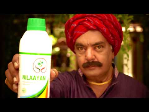 Nilaayan Seed Treatment