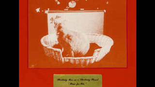 Shadowy Men on a Shadowy Planet - The Cat Came Back