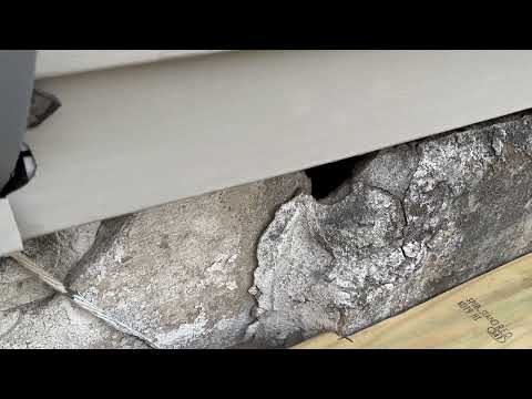 Cracks & Gaps in the Foundation Will Lead to a Mice Infestation in Somerville, NJ