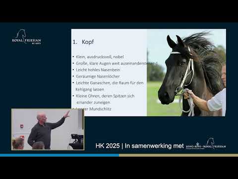 Clinic HK2025 | Beurteilen des Friesenpferdes