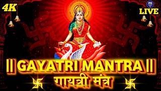 Download lagu Famous Powerful Gayatri Mantra 108 Times | Om Bhur Bhuva Swaha | गायत्री मंत्र | ओम भूर भुवा स्वाहा mp3 Download lagu Famous Powerful Gayatri Mantra 108 Times | Om Bhur Bhuva Swaha | गायत्री मंत्र | ओम भूर भुवा स्वाहा mp3