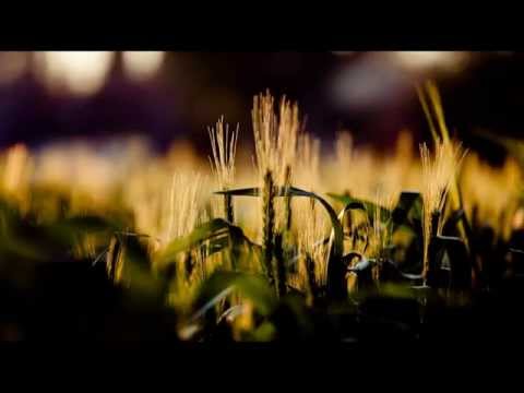 Mi Señor y Mi Dios - Schoenstatt Hermanas de María