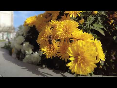 My trip to Bijeljina