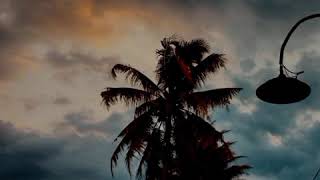 Download lagu Story Wa Sholawat ( Tala'al Badru 'alaina ) mp3 Download lagu Story Wa Sholawat ( Tala'al Badru 'alaina ) mp3