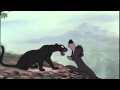 Bagheera