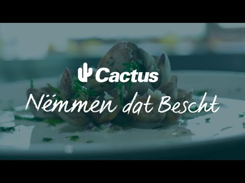 Cactus - Nomment Dat Beseht - Ep3 Crustacéen