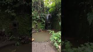 Shiva Linga Deep Inside The Jungle in Bali 🔱